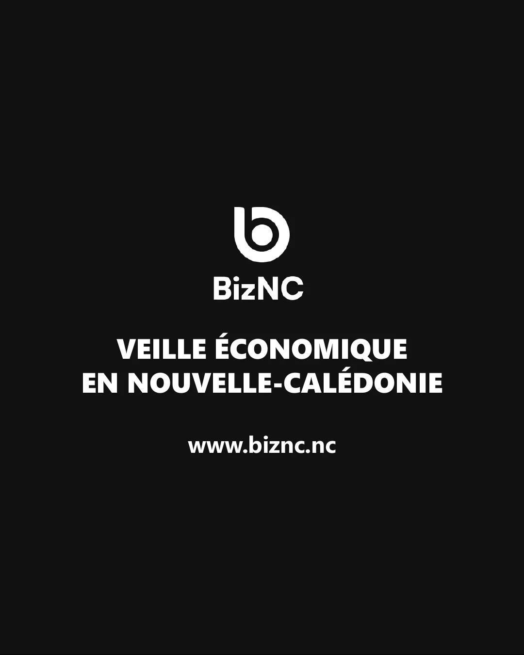 Biz NC, veille économique en Nouvelle-Calédonie — biznc.nc