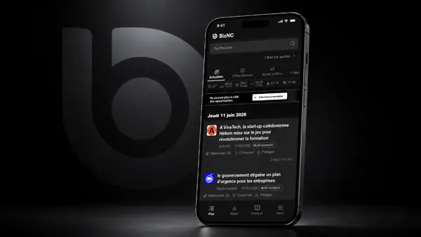 Interface utilisateur de l'application de veille économique Biznc.nc